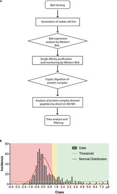 Systematic Affinity Purification Coupled to Mass Spectrometry Identified p62 as Part of the Cannabinoid Receptor CB2 Interactome